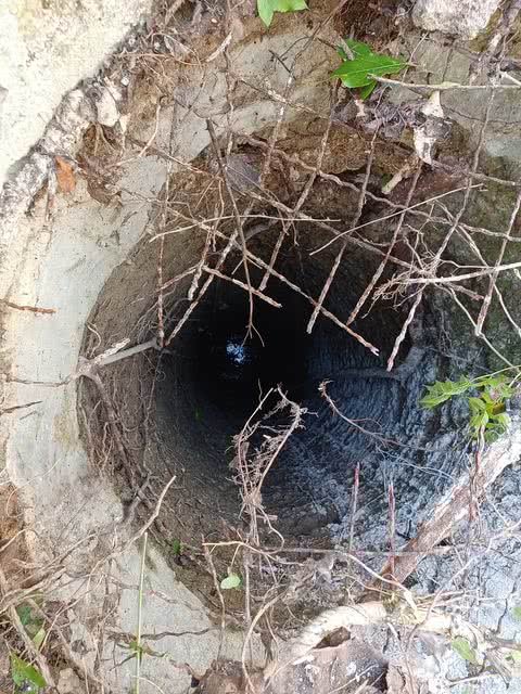 20230503 112525 resultat