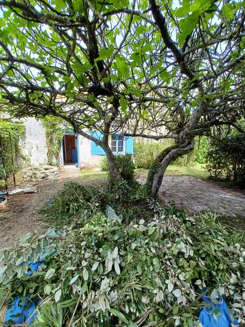 20230503 112525 resultat