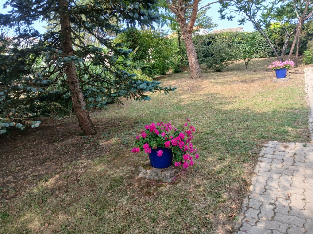 20260626 103759